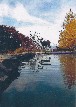 Deer visiting Soaking Pond - Carolyn Caplan